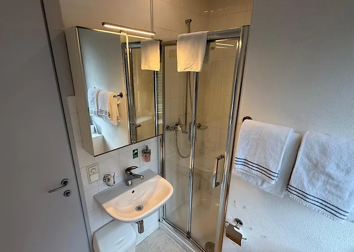 Hotel San Carlo Guest house 2*